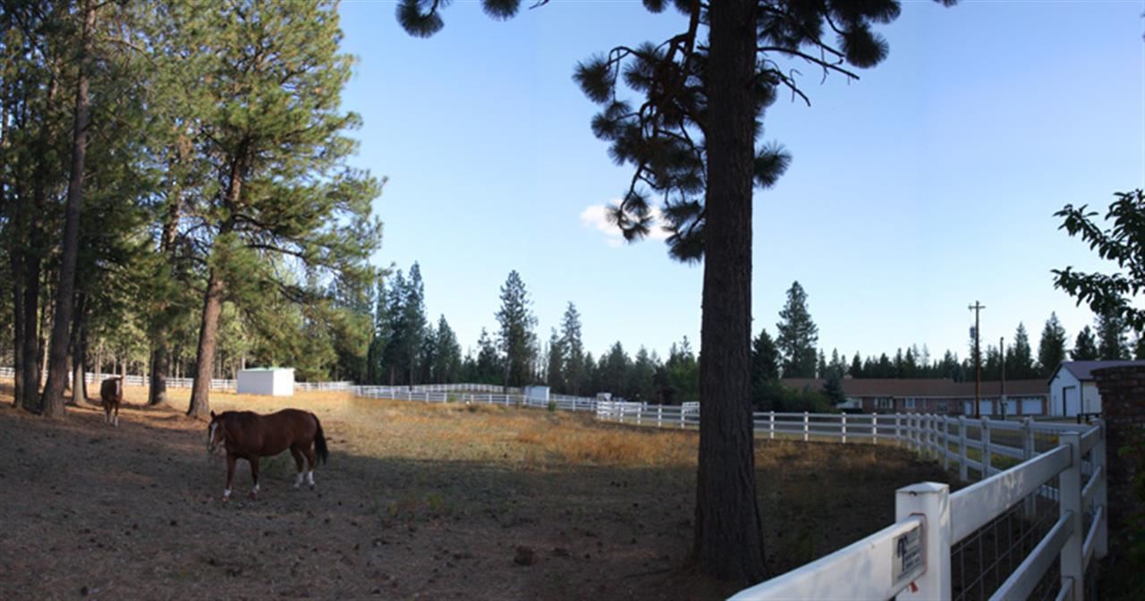 909 W Paradise Rd - Photo 14