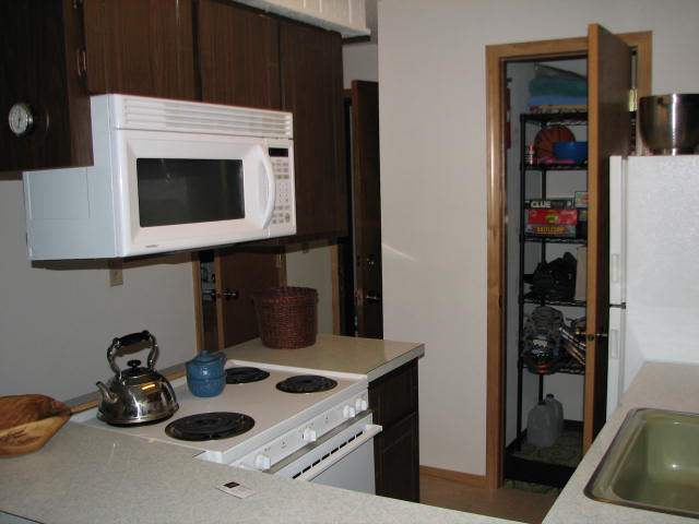 28600 N Mt Spokane Park Dr 718 - Photo 4