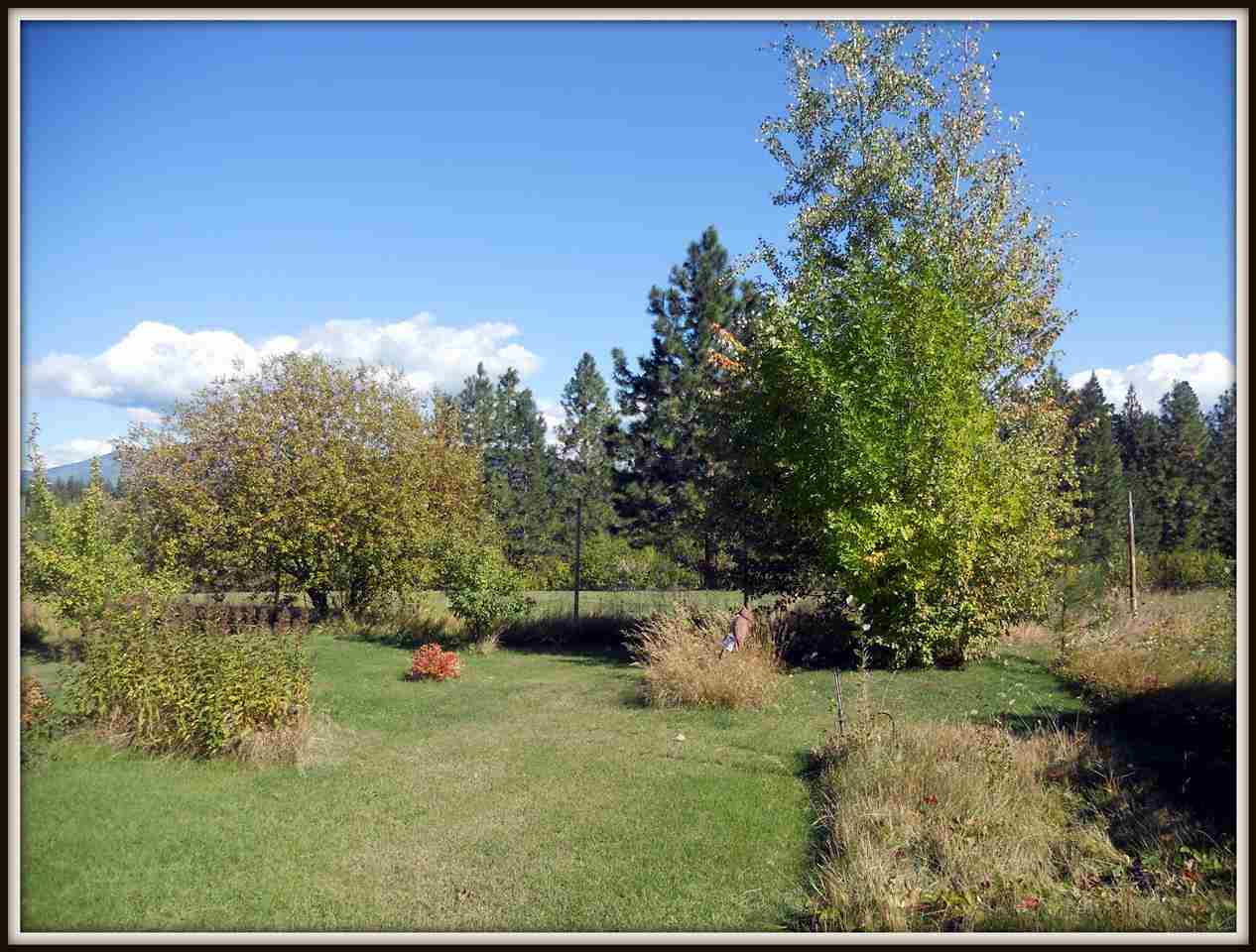 406 Corbett Creek - Photo 19
