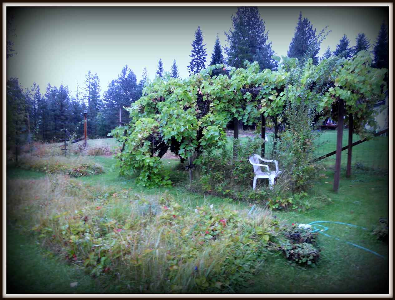 406 Corbett Creek - Photo 3