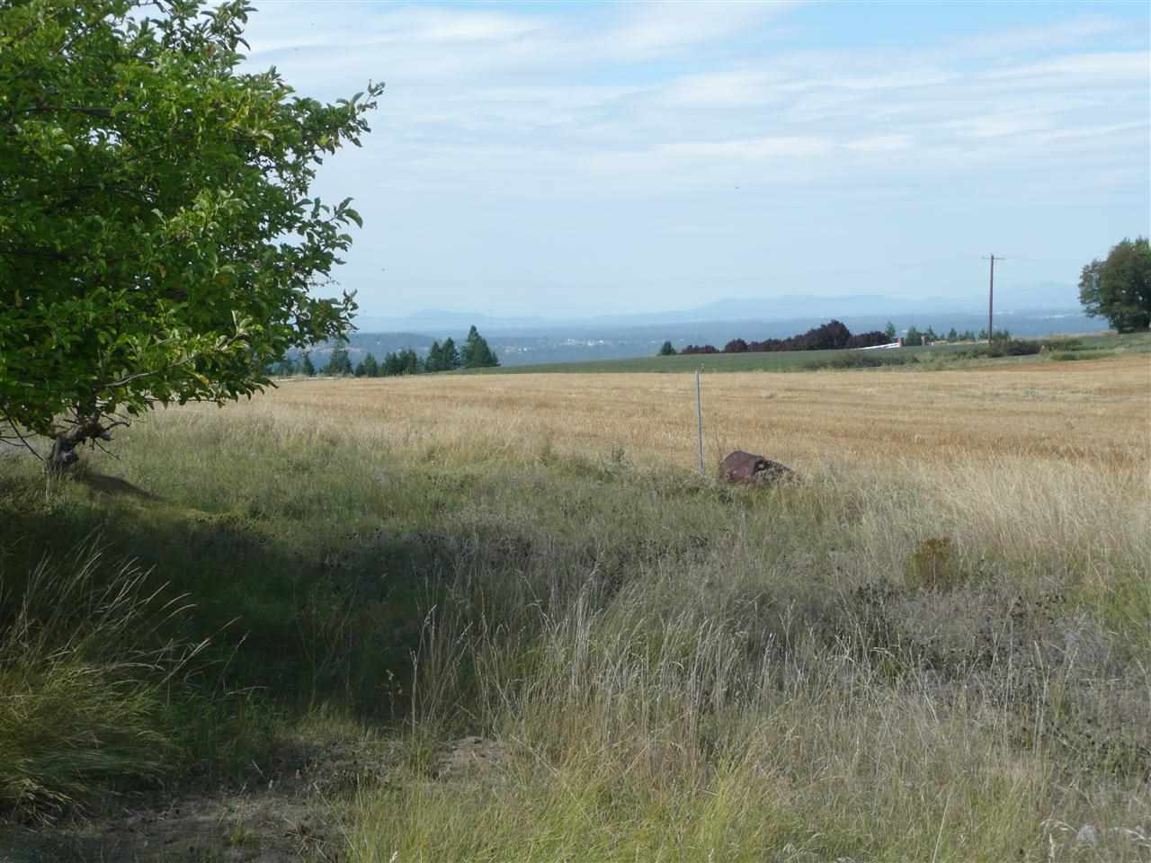 17927 N Greenbluff Rd - Photo 15