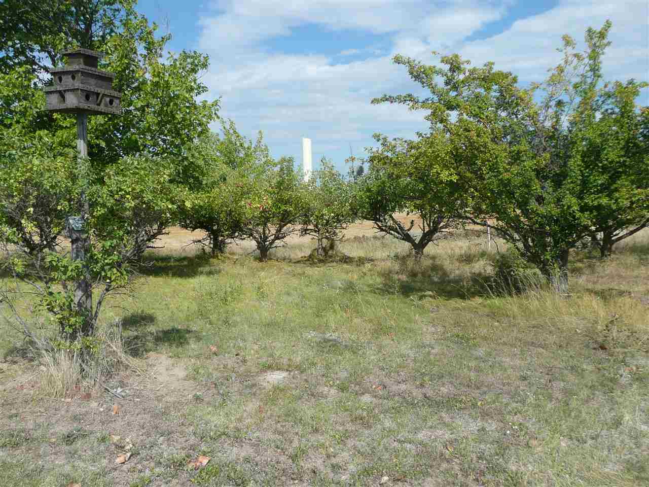 17927 N Greenbluff Rd - Photo 18