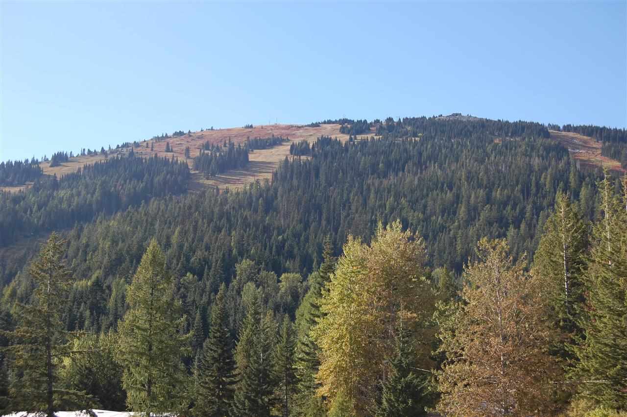 28600 N Mt Spokane Park Dr - Photo 14