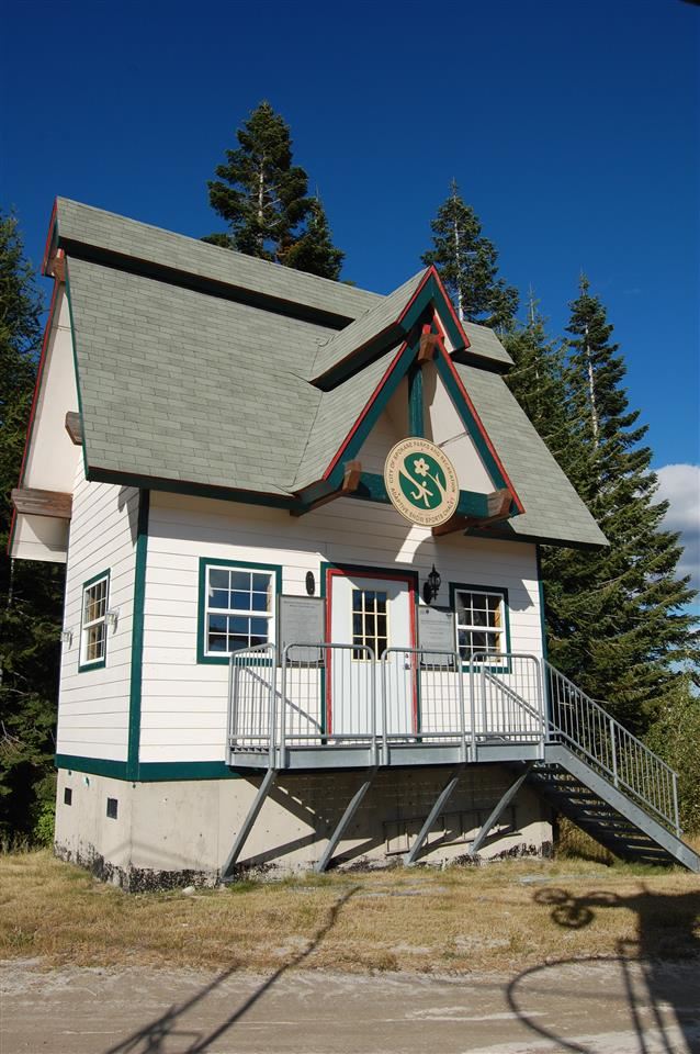 28600 N Mt Spokane Park Dr - Photo 17