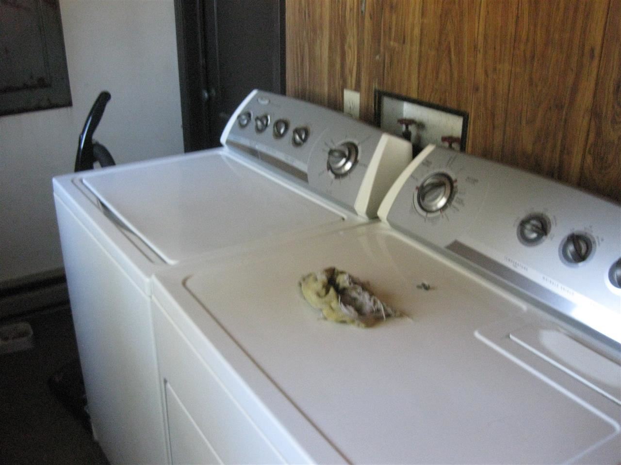 205 E A St - Photo 9