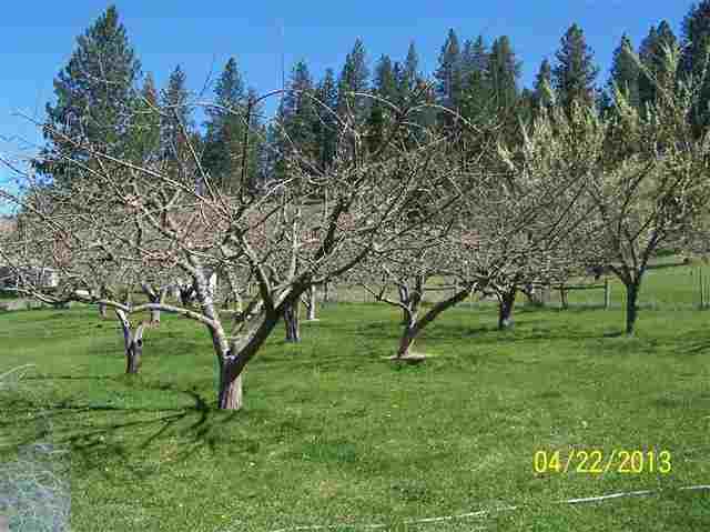 6674 Hwy 291 - Photo 13