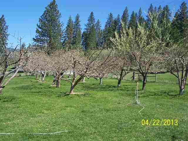 6674 Hwy 291 - Photo 14