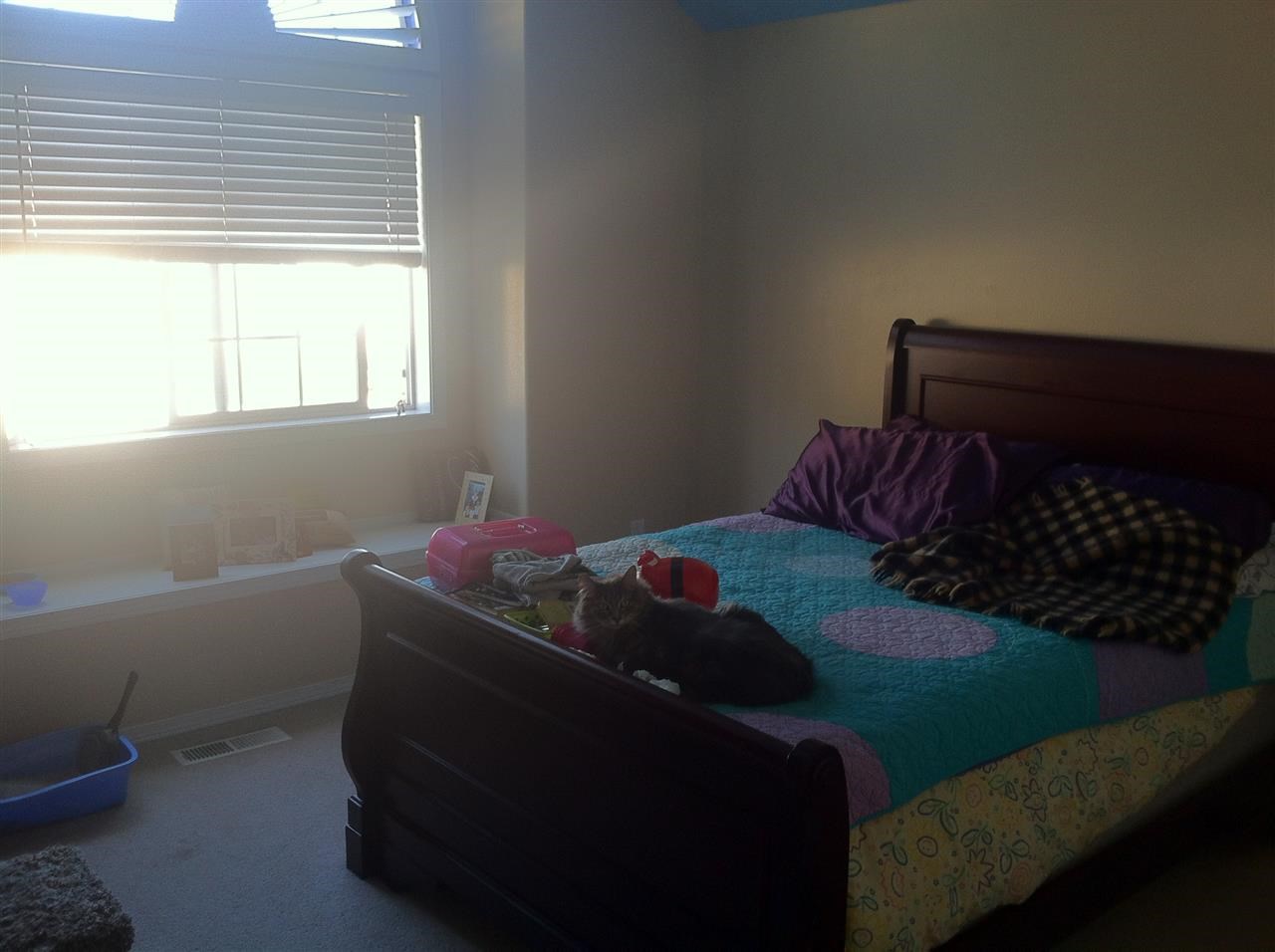 724 E Huron Dr - Photo 6