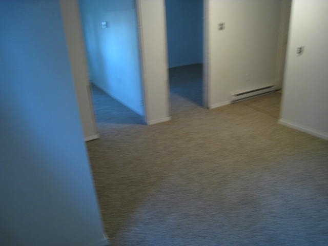 4004 E 16th Ave - Photo 14