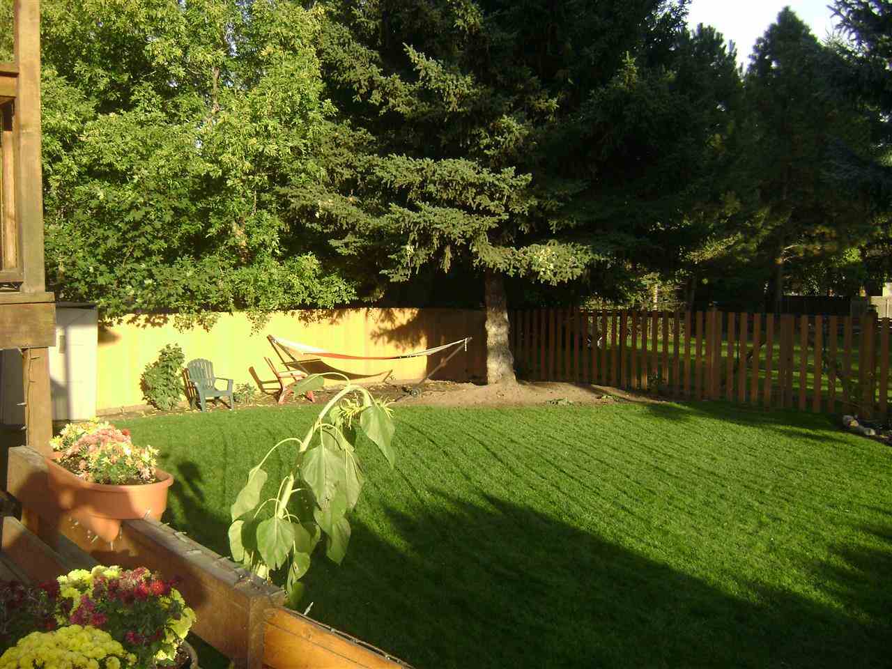 527 S Alpine Dr - Photo 3