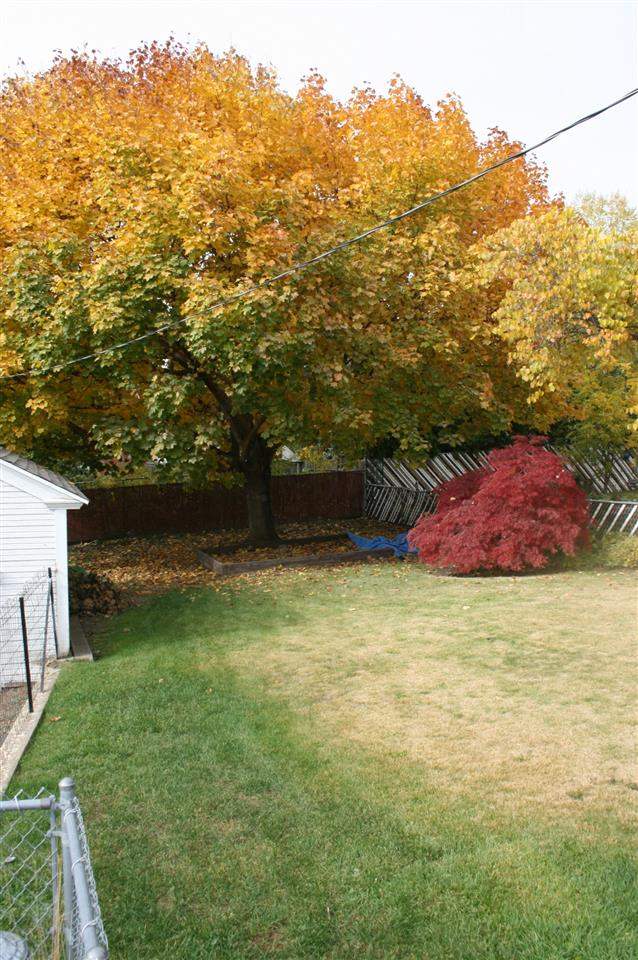 2511 N Napa St - Photo 16