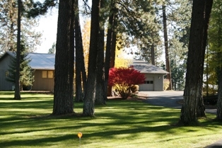 1410 E Denison-Chattaroy Rd - Photo 14