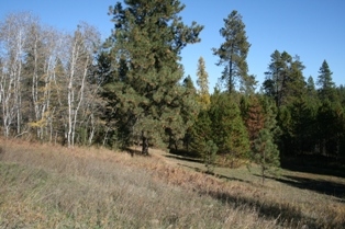 1410 E Denison-Chattaroy Rd - Photo 3