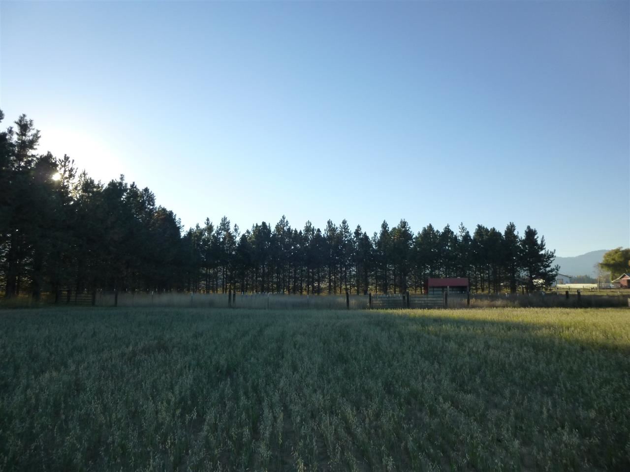 4997 S Swenson Road - Photo 7