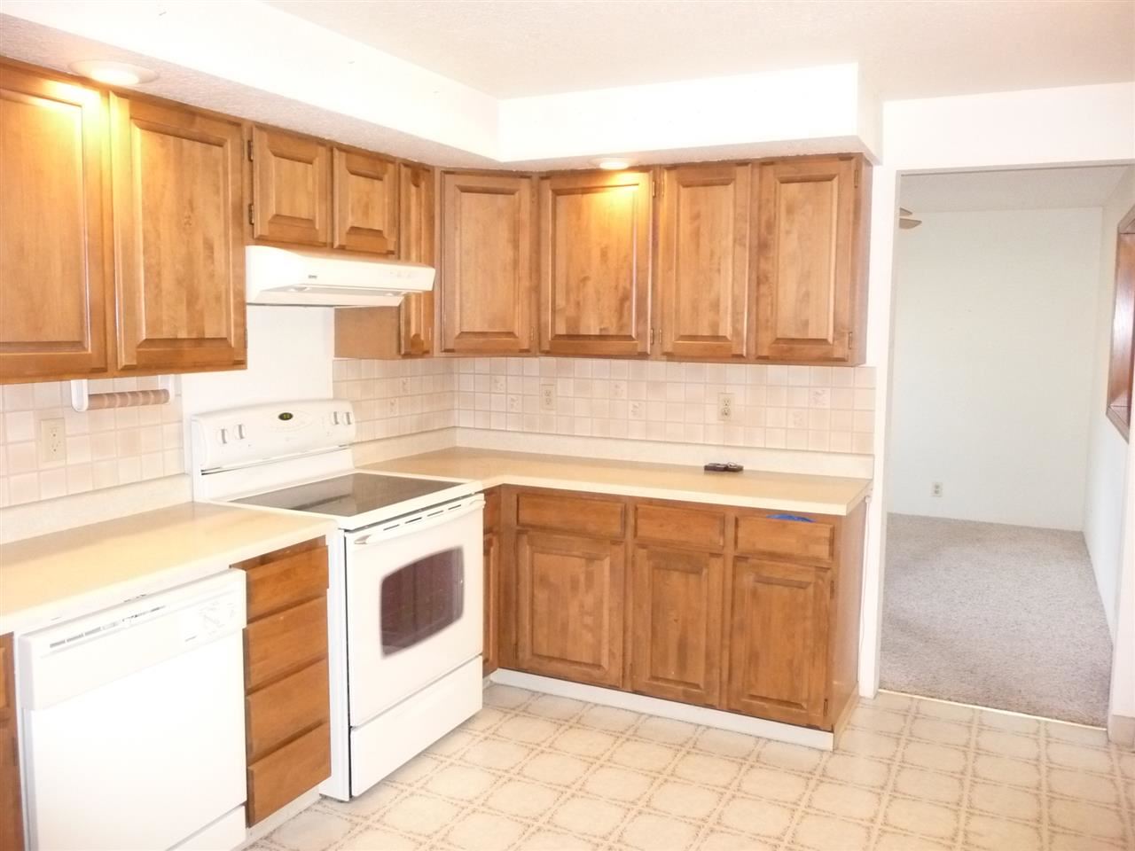 3003 N Sycamore St. - Photo 6