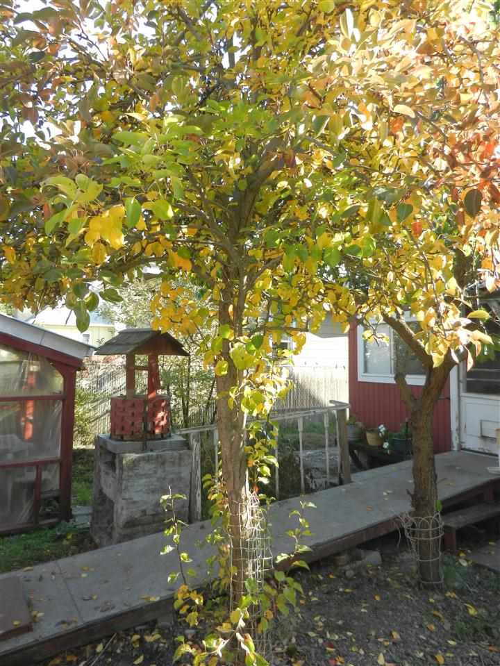 2506 W Broadway Ave - Photo 15