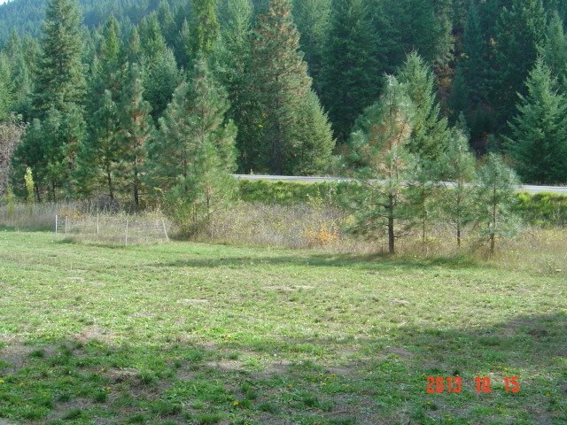 1400 Orchard Ln - Photo 16