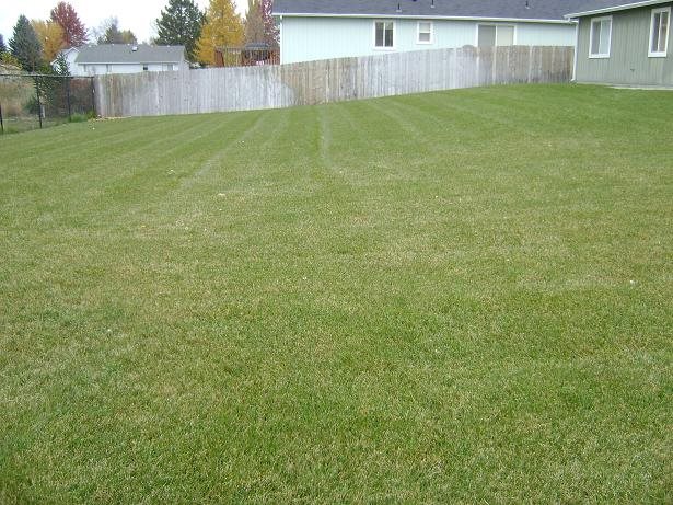 203 Armstrong Ct - Photo 3