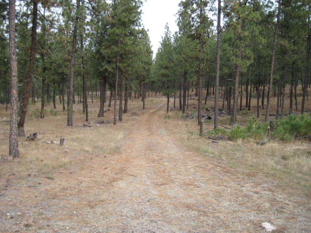 22001 W Jacobs Rd - Photo 14