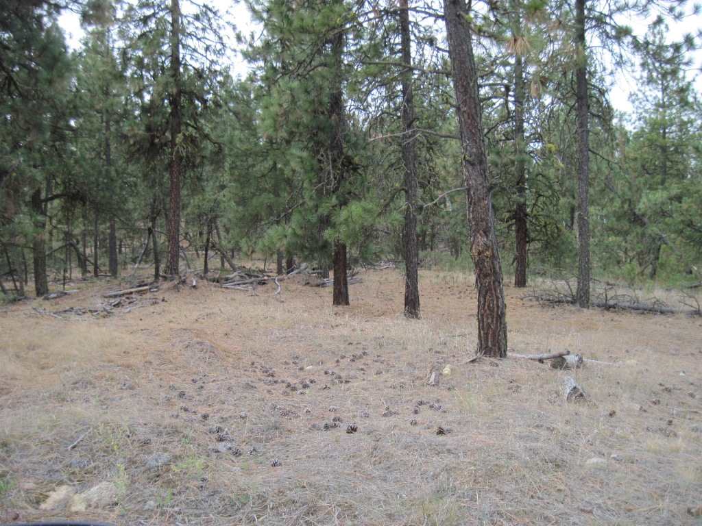 22001 W Jacobs Rd - Photo 15