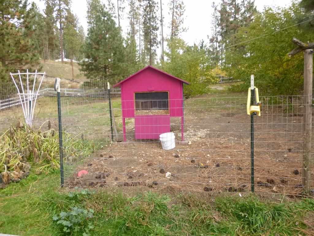 1493 College Ln - Photo 8