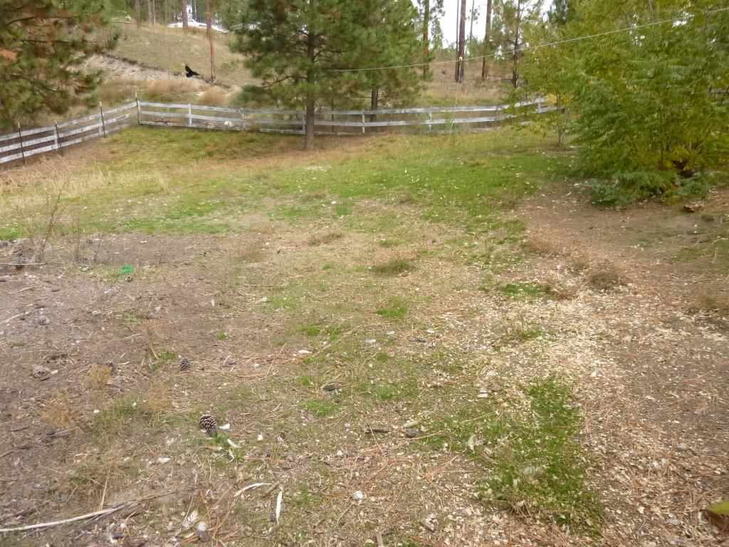 1493 College Ln - Photo 9