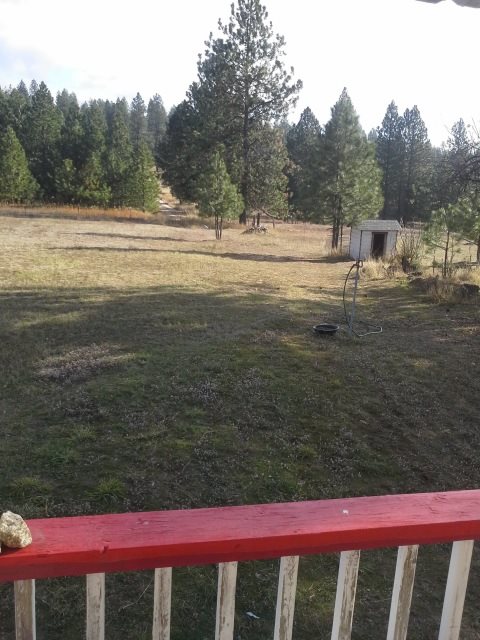 29502 N Dunn Rd - Photo 11