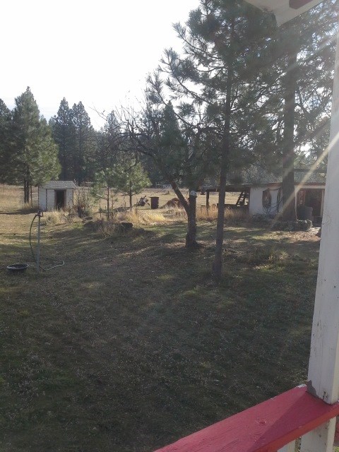 29502 N Dunn Rd - Photo 12