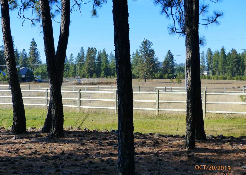7301 W Andrus Rd - Photo 19