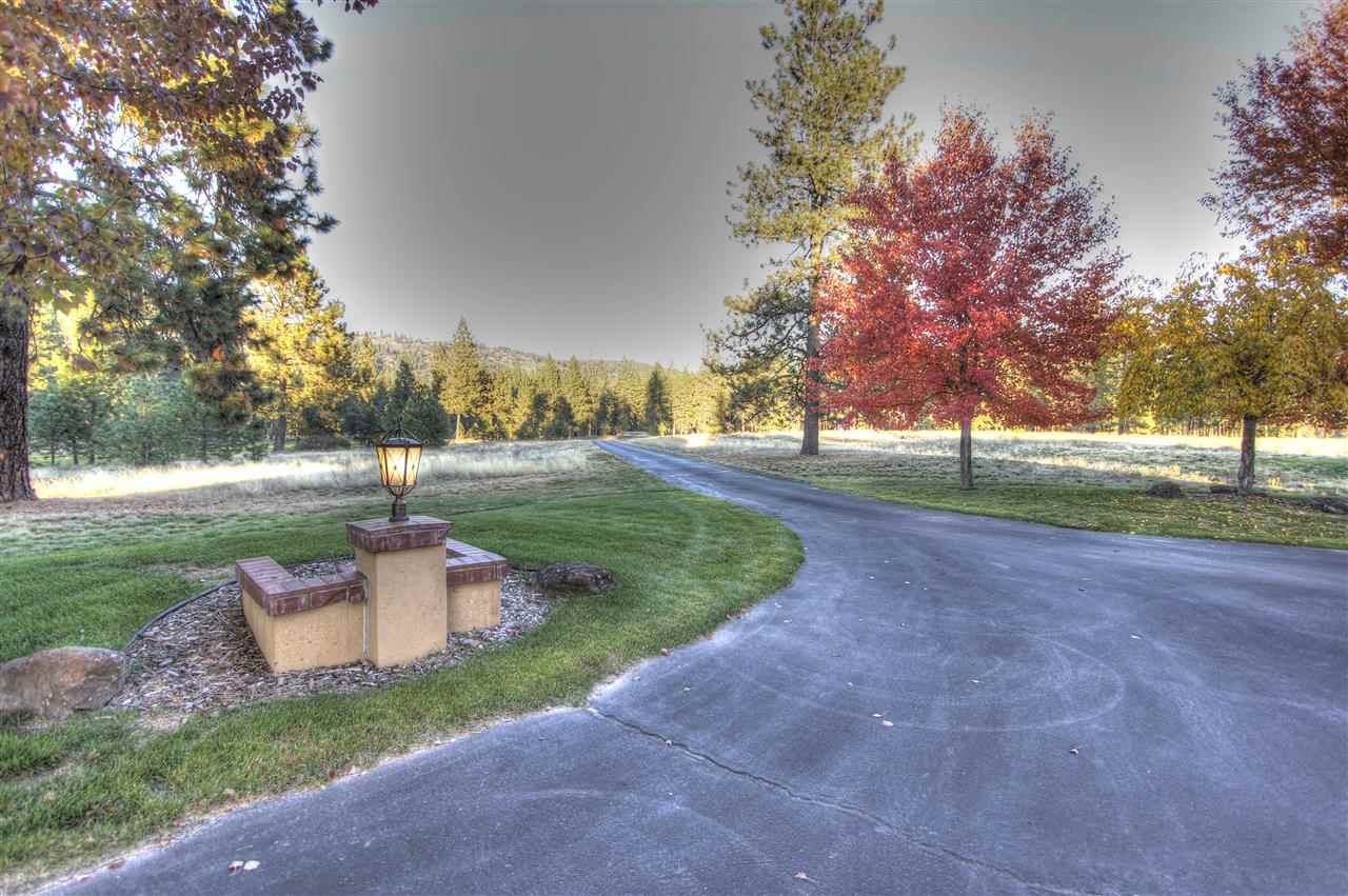 3901 W Rutter Parkway Ln - Photo 2