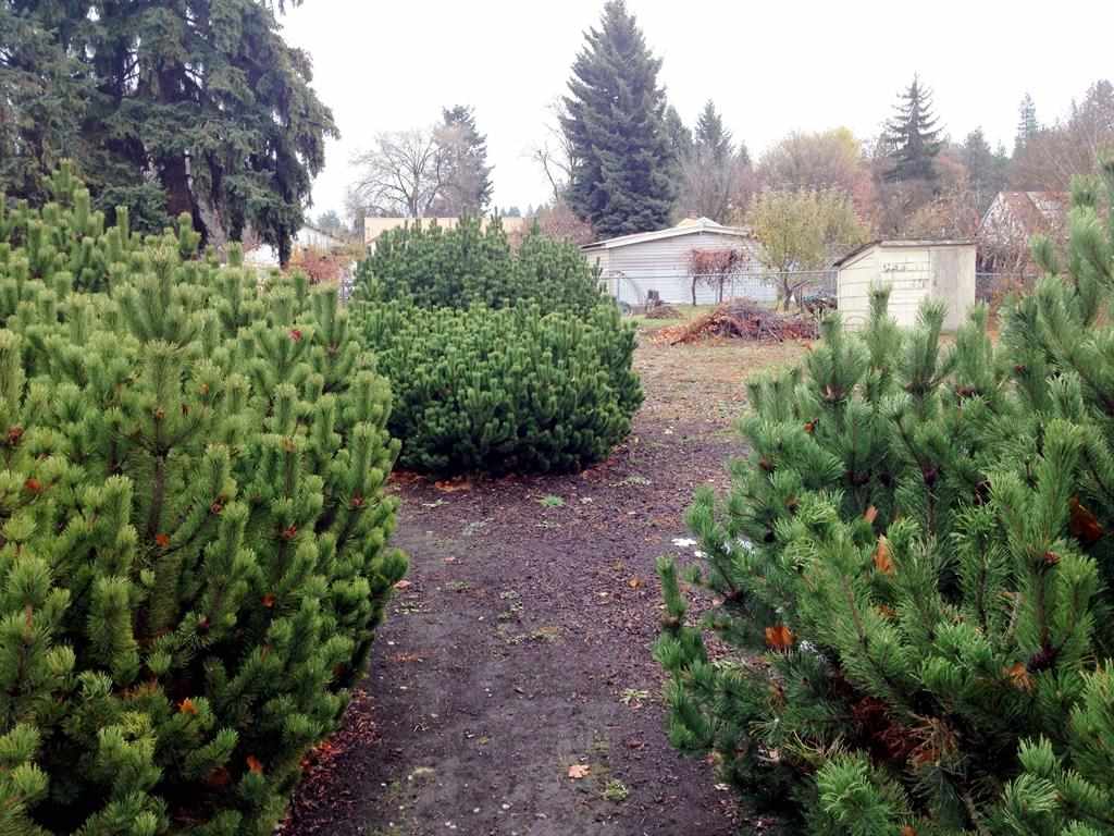 415 S Koren Rd - Photo 12