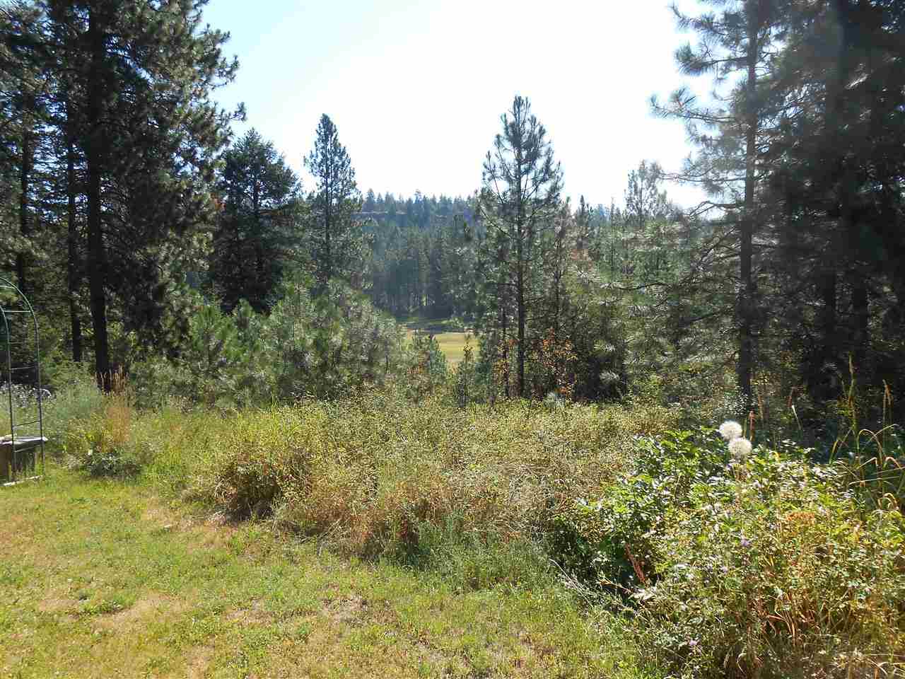 35312 N NEWPORT Hwy - Photo 7