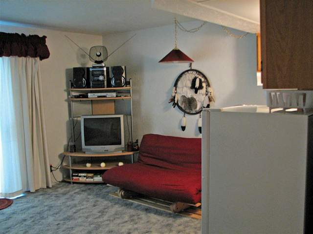 608 Cedarhearth Mt Spokane Condos - Photo 5
