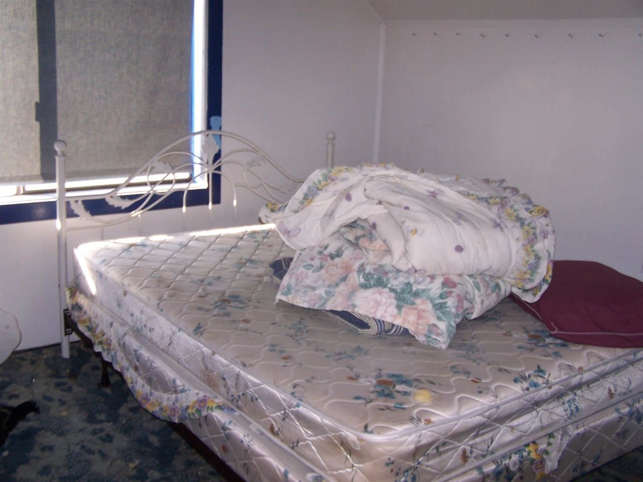313 PARK - Photo 14