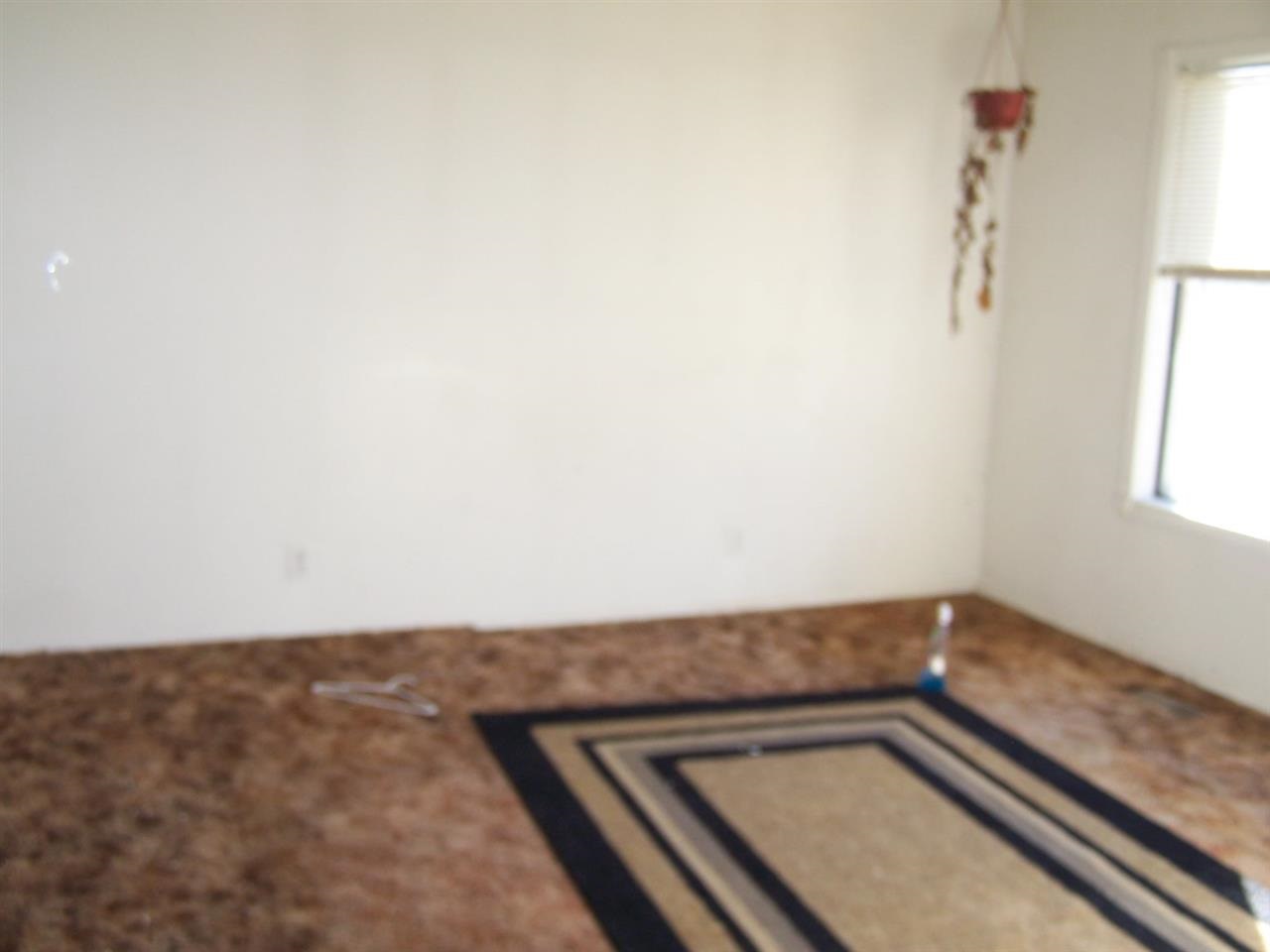 313 PARK - Photo 4