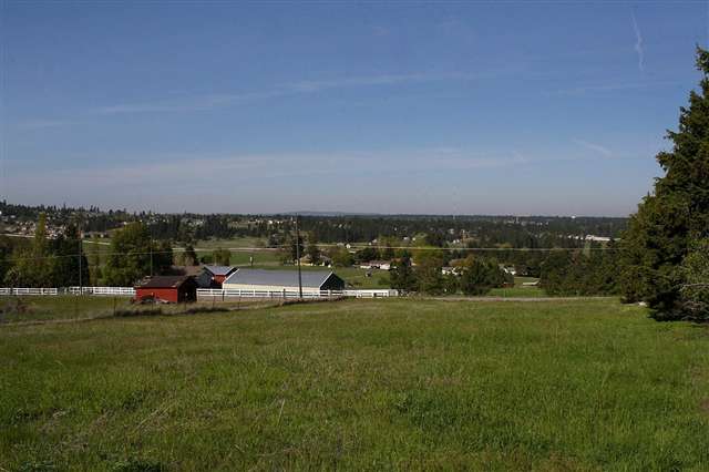 3409 S Eastern Rd - Photo 8