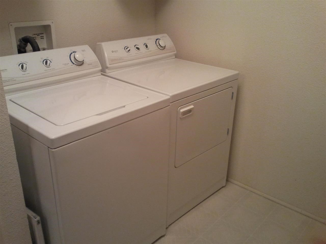 14913 N McClean Ave - Photo 15
