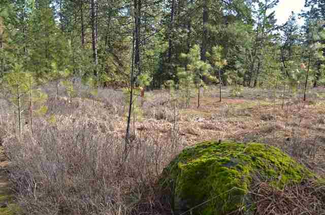 1525 W Austin Rd - Photo 19