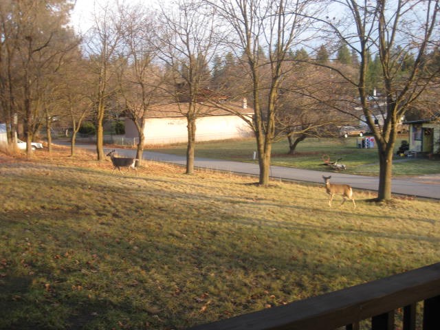 5217 E GRANITE POINT - Photo 3