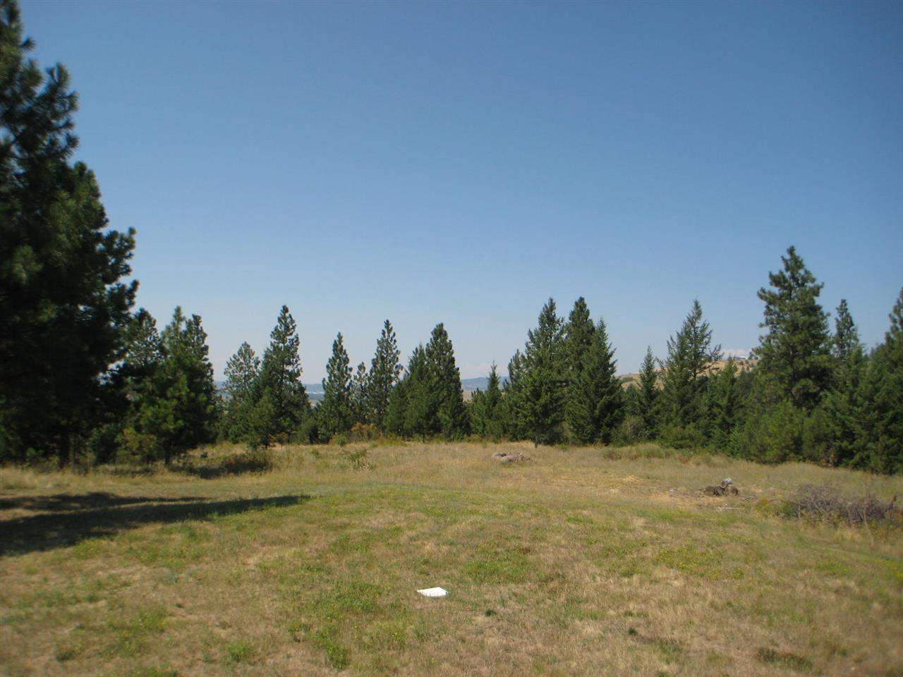 23311 E Henry Rd - Photo 6