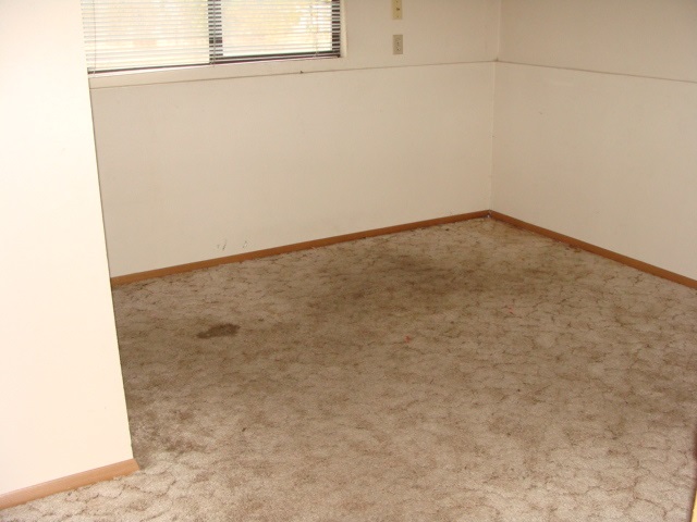 3303 E 34th Ave - Photo 8