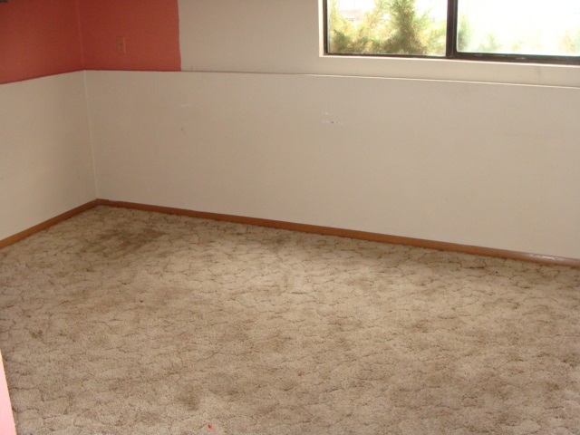 3303 E 34th Ave - Photo 9