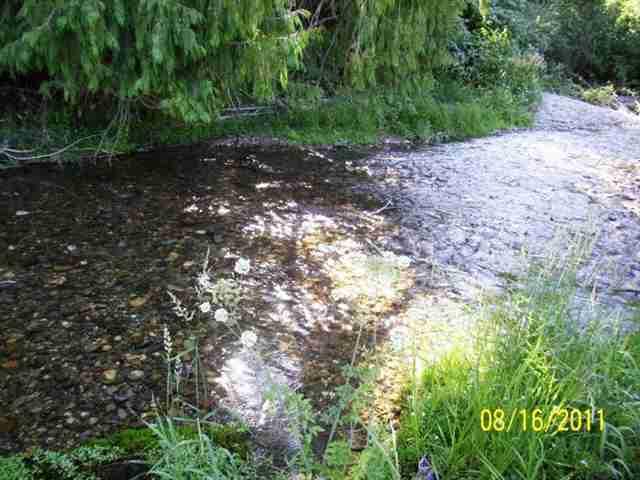 868 Aladdin Rd - Photo 2