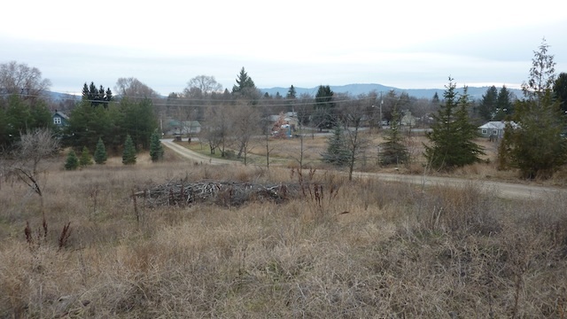 13523 E Valleyway Ave - Photo 3