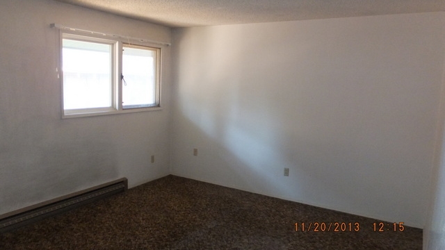 1116 S Madison St - Photo 4