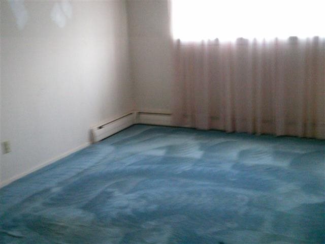 250 N Raymond #C1 - Photo 11