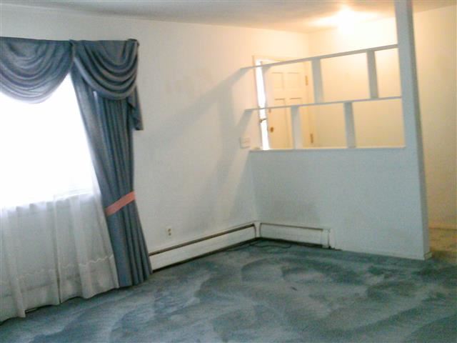 250 N Raymond #C1 - Photo 4