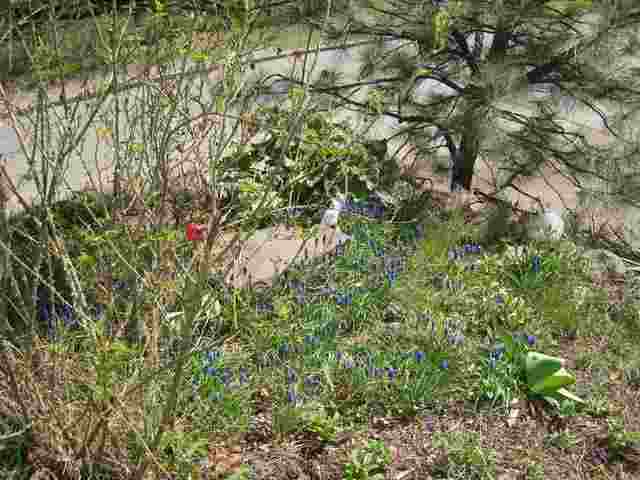 2904 W 6th Ave - Photo 14