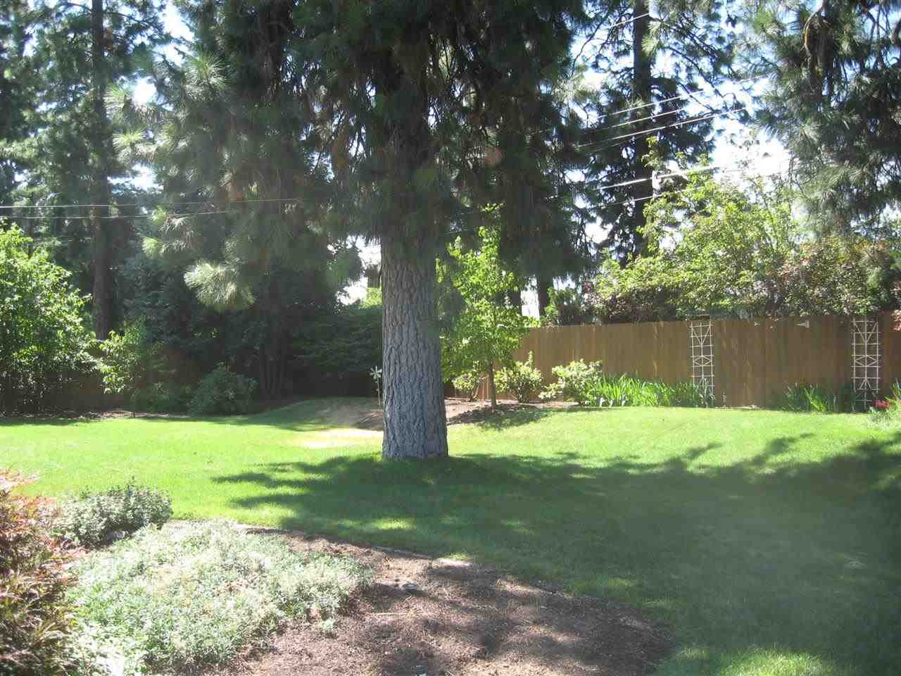 7129 N Winston Dr - Photo 4