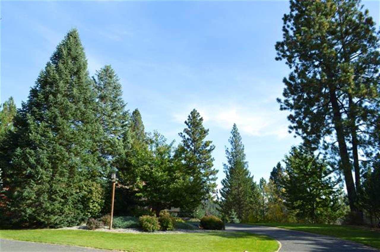 2530 E NICKLAUS - Photo 3